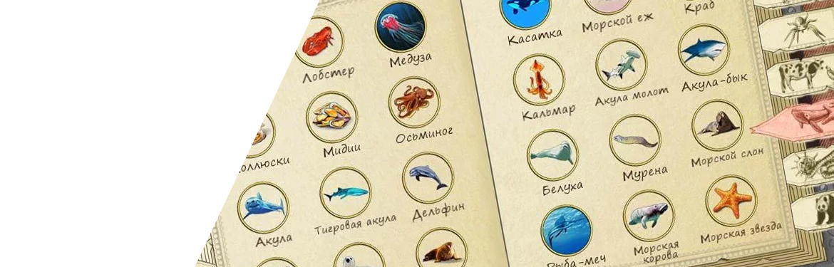 Doodle Alchemy Animal